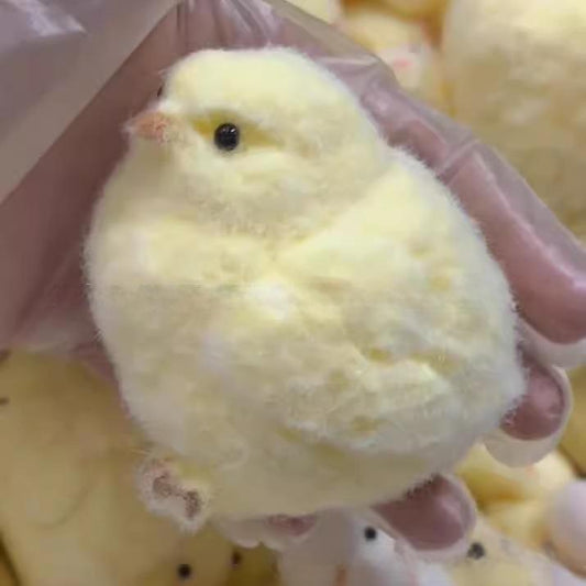 Chicken Taba Squishy Toy